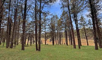 Lot 1133 Spyglass Hill Rd, Angel Fire, NM 87710