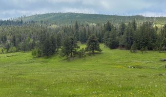 381 OLD CAMP Rd, Bellvue, CO 80512