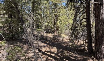 Horned Owl Way 385461, Bonanza, OR 97623