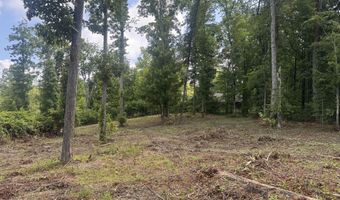 Tract 2 Mill Creek Rd, Andersonville, TN 37705