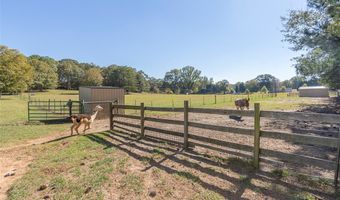 193 Pineland Meadows Rd, Belton, SC 29627