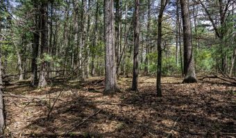 S Badger Lane lot 38, Arkdale, WI 54613