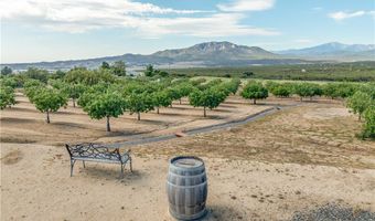 43175 Brownie St, Aguanga, CA 92536