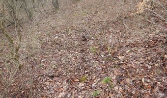 County Route 16, Angelica, NY 14709