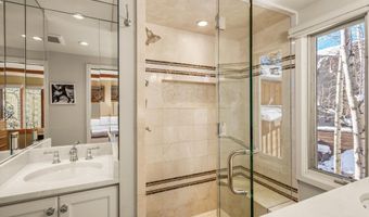 825 E Hopkins Ave 2S, Aspen, CO 81611