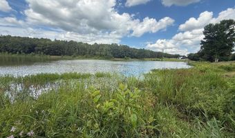 174 Mountain Ranch Blvd, Austin, AR 72007