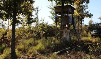 Off Hwy F, Annapolis, MO 63620