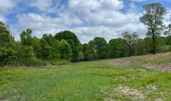 Co Rd 321 Route 5, Ava, MO 65608