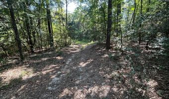 4496 State Hwy 130, Banks, AL 36005