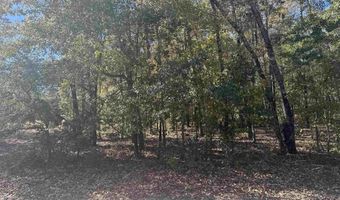 TBD Possum Trail Lot 2, Bamberg, SC 29003