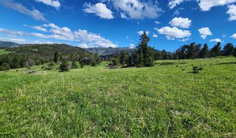 Blacktooth Road lot 12, Big Horn, WY 82833