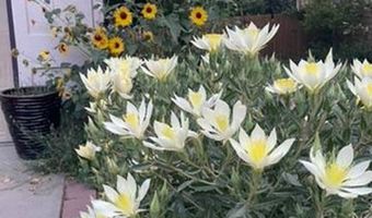 1111 Utica Cir, Boulder, CO 80304