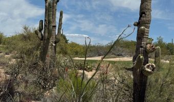1725 E STAGHORN Ln, Carefree, AZ 85377