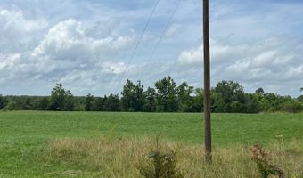 420 Sheffield Rd, Adamsville, TN 38310