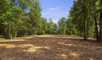 2233 Holloman Rd, Bentonia, MS 39040