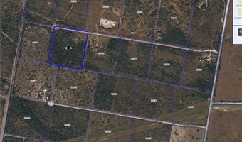 Morning Dove lot 40, Alice, TX 78332