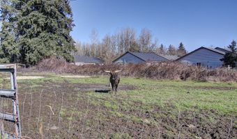 601 3 SW 27th St, Battle Ground, WA 98604