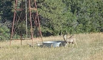 7187 CR 228, Bayfield, CO 81122