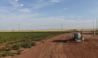 FM 597, Abernathy, TX 79311