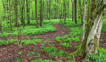 8560 Old State Rd, Alden, NY 14709