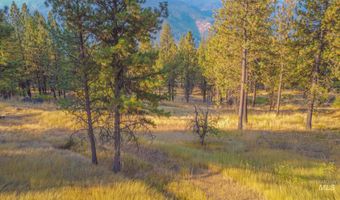 Summitview Dr, Ahsahka, ID 83520