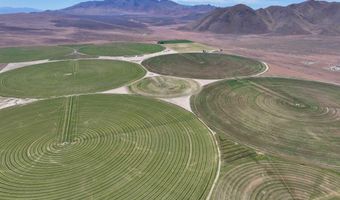 51955 Wilder Creek Rd, Denio, NV 89404