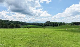Chuckey Doak Road, Afton, TN 37616
