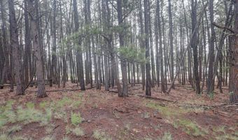 Lot 4 St Andrews Way, Angel Fire, NM 87710