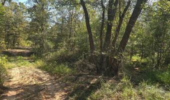 S80 Helt Rd, Antlers, OK 74525