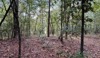 0 GIBSON COVE Dr 7.10 Acres Plus . 58 ac Access Lot, Ashville, AL 35953