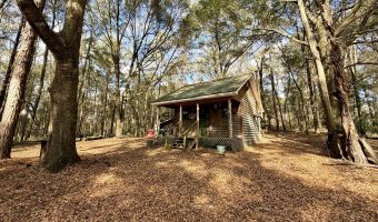 County Road 72, Ariton, AL 36311