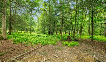 41 St. Josen Rd, Accord, NY 12404