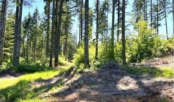 Tunnel Tract Parcel2, Banks, OR 97106