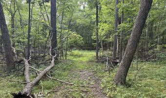 10775 W Ellsworth Rd, Ann Arbor, MI 48103