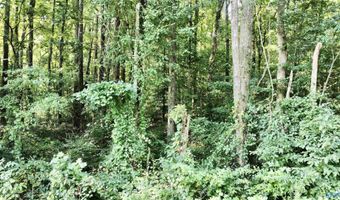 2 93 Acres Highway 231, Arab, AL 35016