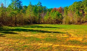 64 Stoneybrook Trl, Bogue Chitto, MS 39629