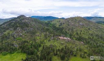 Old Flowers Rd, Bellvue, CO 80512
