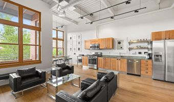 231 Robinson St 218, Basalt, CO 81621