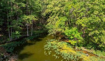Lot 4 CONSTELLATION DRIVE 2.42 acres, Alpine, AL 35014