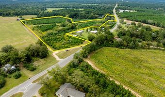 20 Ac State Hwy 95 Columbia Rd, Abbeville, AL 36310