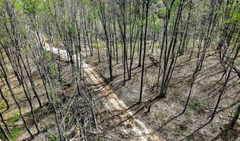 61 AC Hidden Cove Ln, Allons, TN 38541