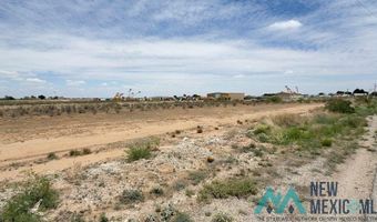 E Harkness Road, Carlsbad, NM 88220