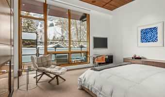 233 E Cooper Ave 301, Aspen, CO 81611