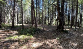 Agness-Illahe Rd, Agness, OR 97406