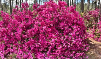 1348 S US HWY 1, Alma, GA 31510
