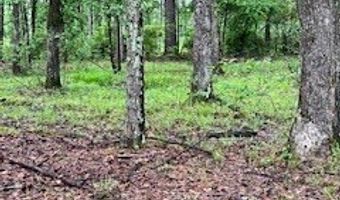 450 Apple Trl, Bogue Chitto, MS 39629