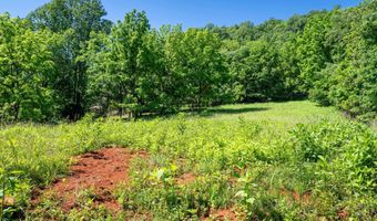 TBD ROCKFISH ORCHARD DR, Afton, VA 22920