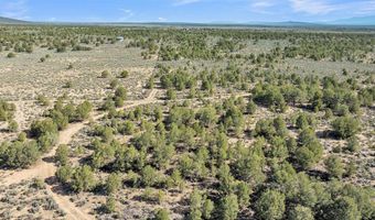 20 Acres Highway 285, Carson, NM 87577