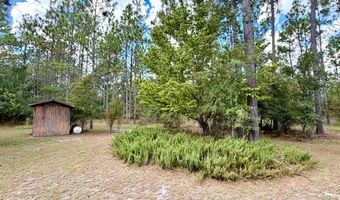 4850 NW 55th Ave, Bell, FL 32619