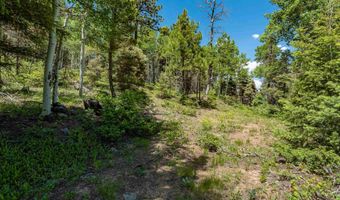Lot 148 Brazos Dr, Angel Fire, NM 87710